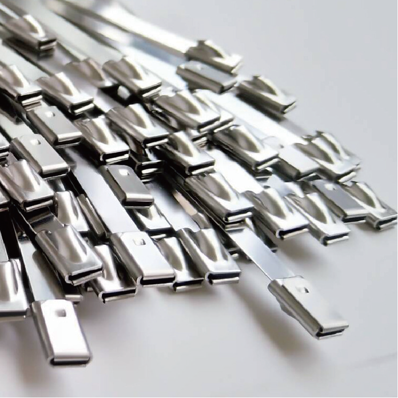 Stainless Steel Cable Ties